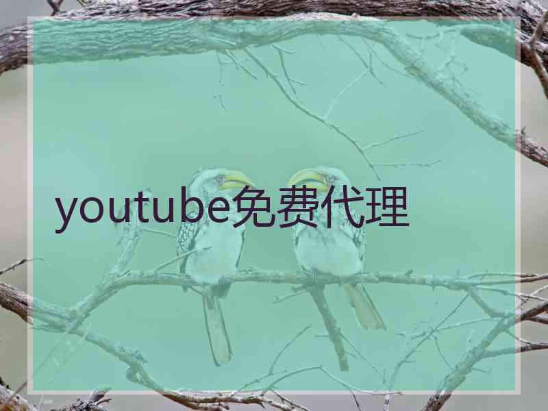 youtube免费代理