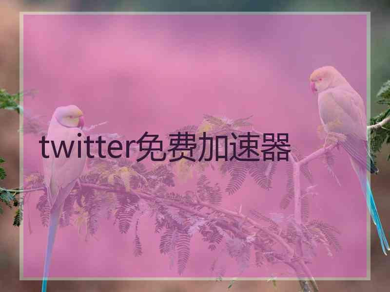 twitter免费加速器