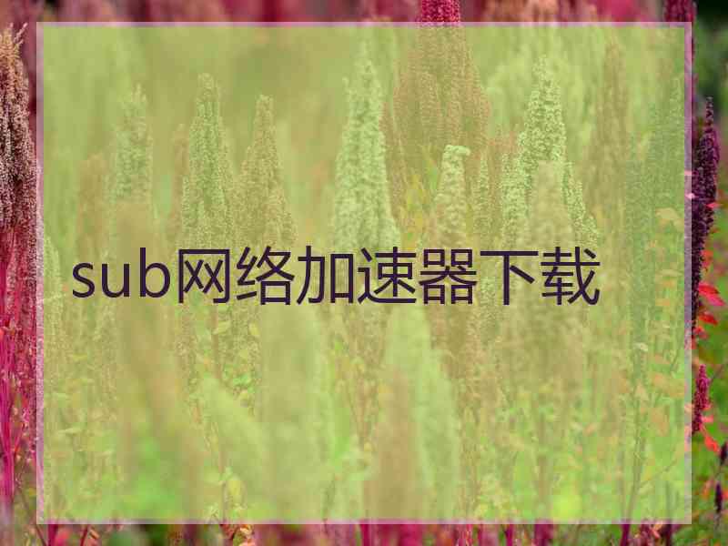 sub网络加速器下载