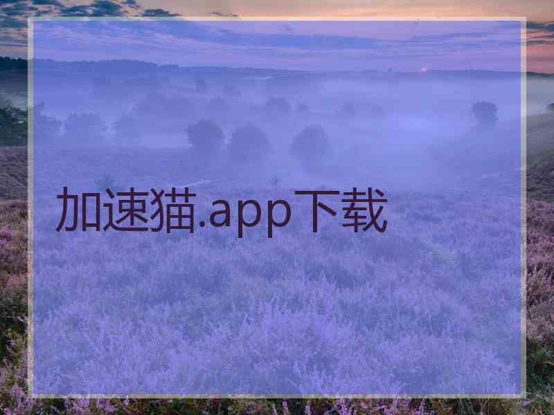 加速猫.app下载