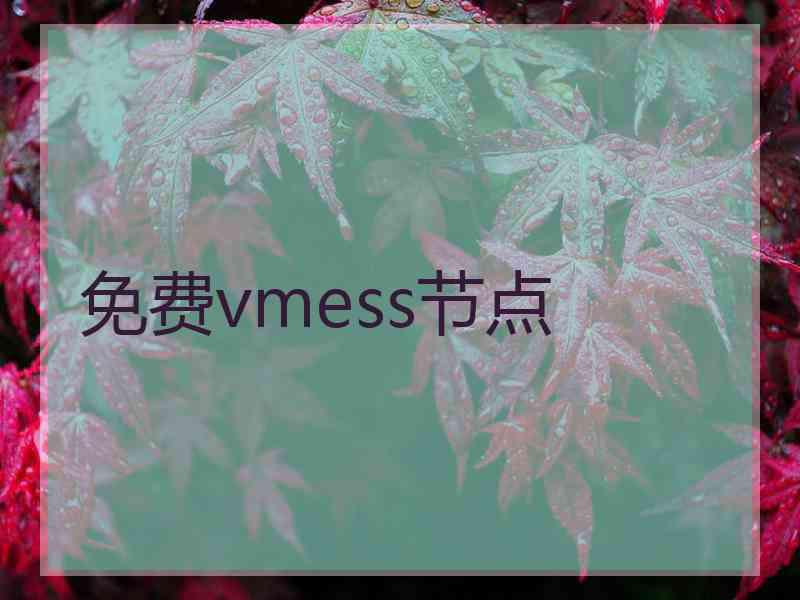 免费vmess节点