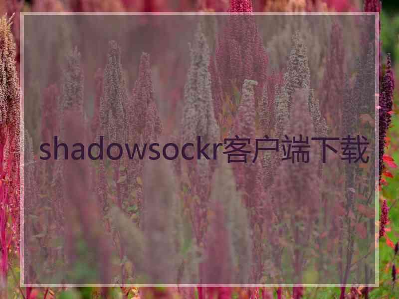 shadowsockr客户端下载