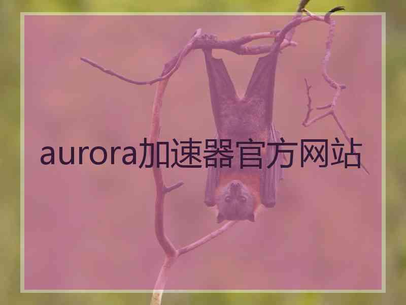 aurora加速器官方网站