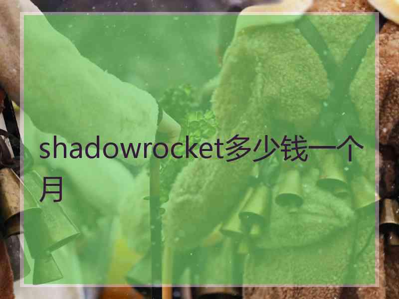 shadowrocket多少钱一个月