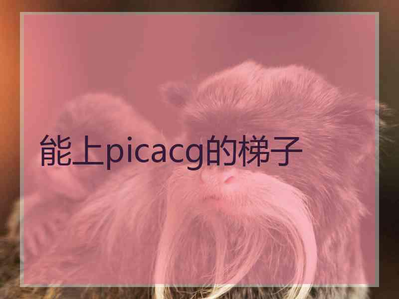 能上picacg的梯子