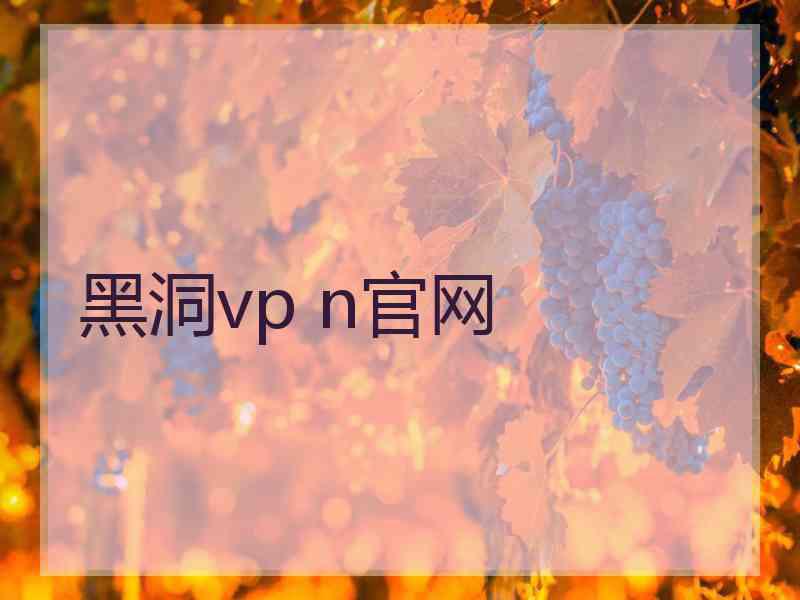 黑洞vp n官网