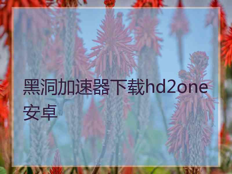 黑洞加速器下载hd2one安卓