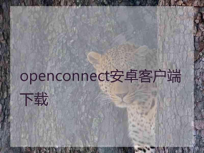 openconnect安卓客户端下载