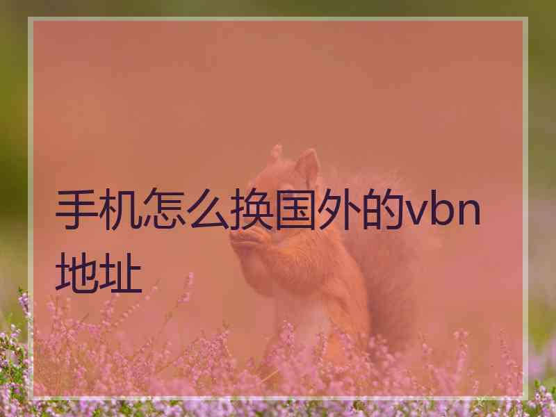 手机怎么换国外的vbn地址