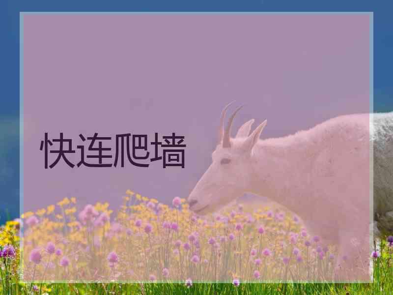 快连爬墙