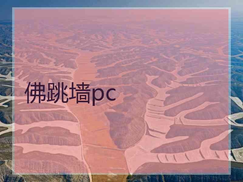 佛跳墙pc