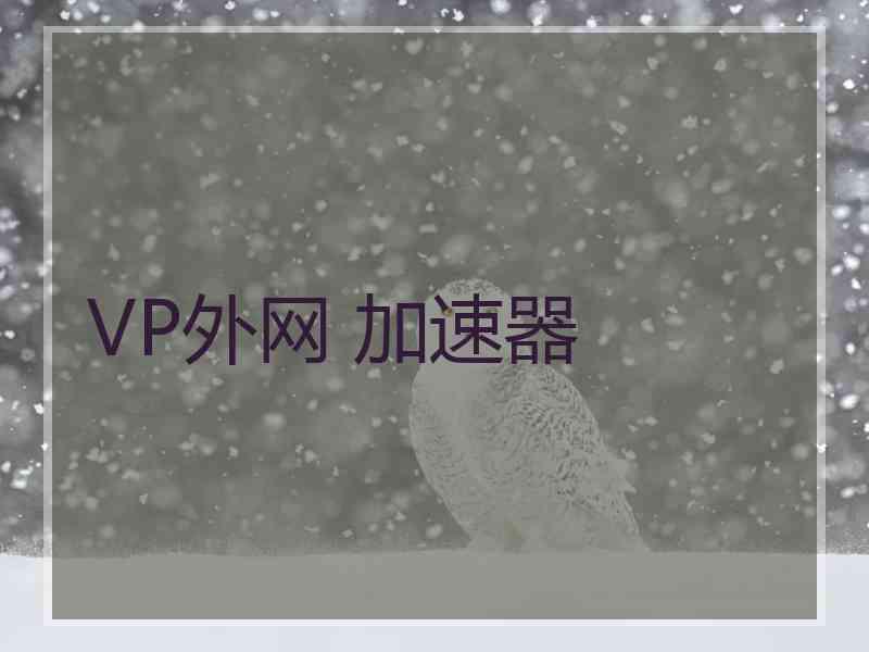 VP外网 加速器