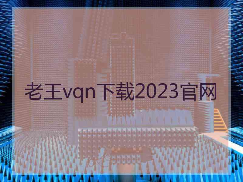 老王vqn下载2023官网