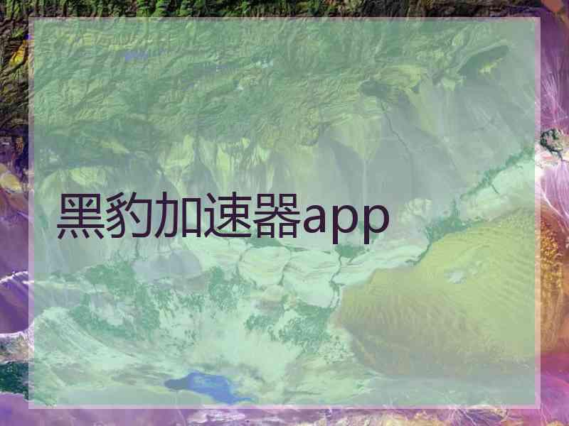 黑豹加速器app