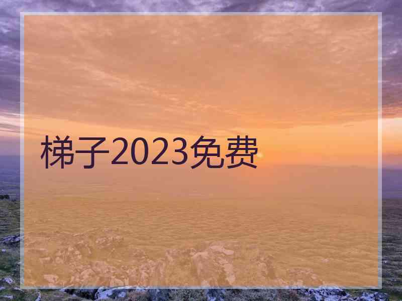 梯子2023免费