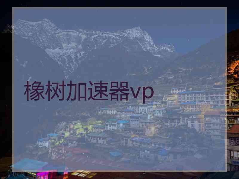 橡树加速器vp