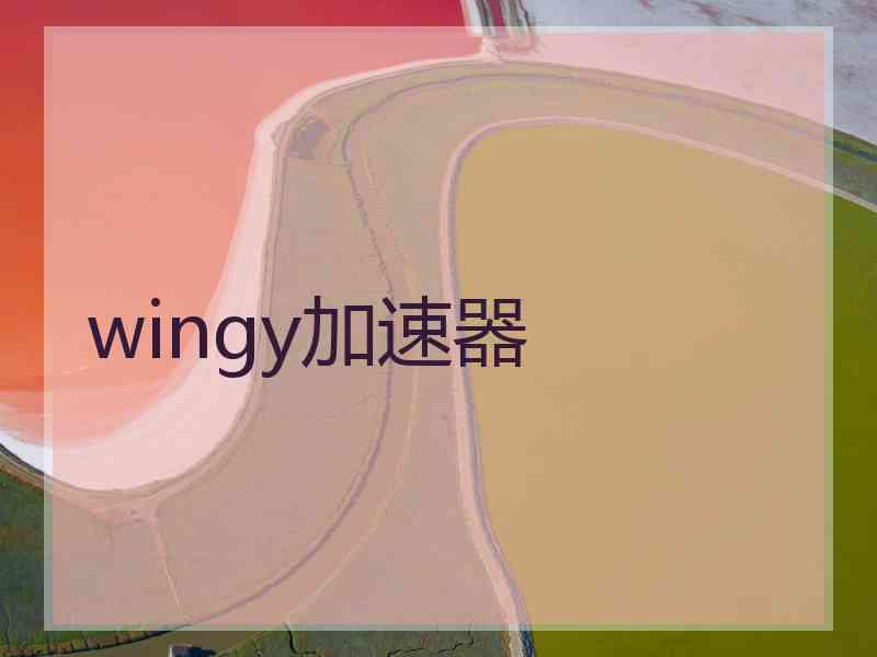 wingy加速器