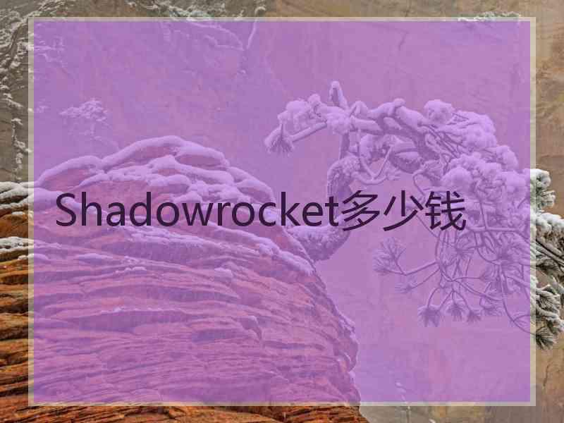 Shadowrocket多少钱