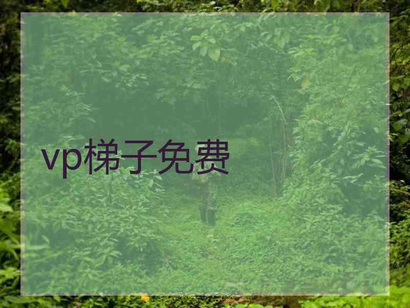 vp梯子免费