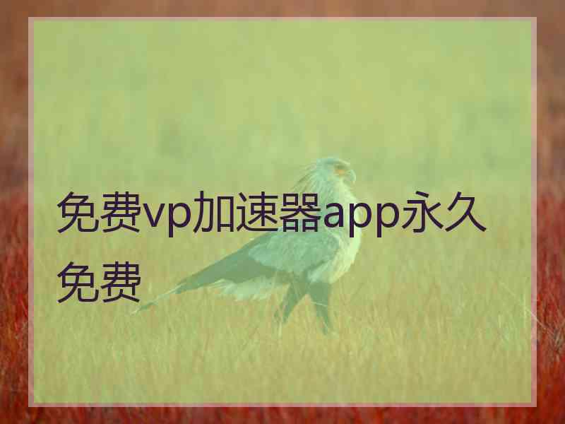 免费vp加速器app永久免费