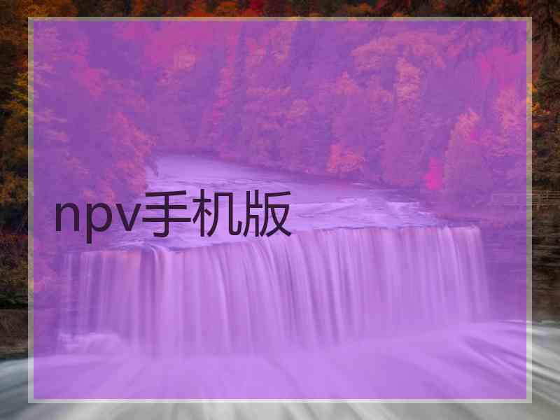 npv手机版