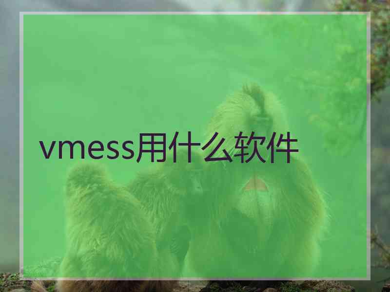 vmess用什么软件