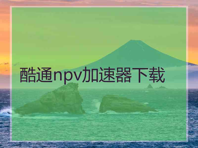 酷通npv加速器下载