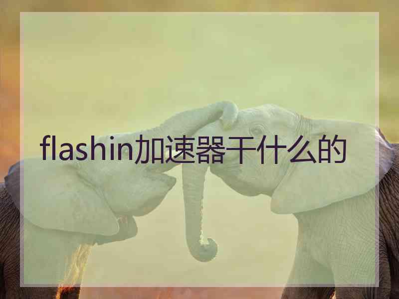 flashin加速器干什么的