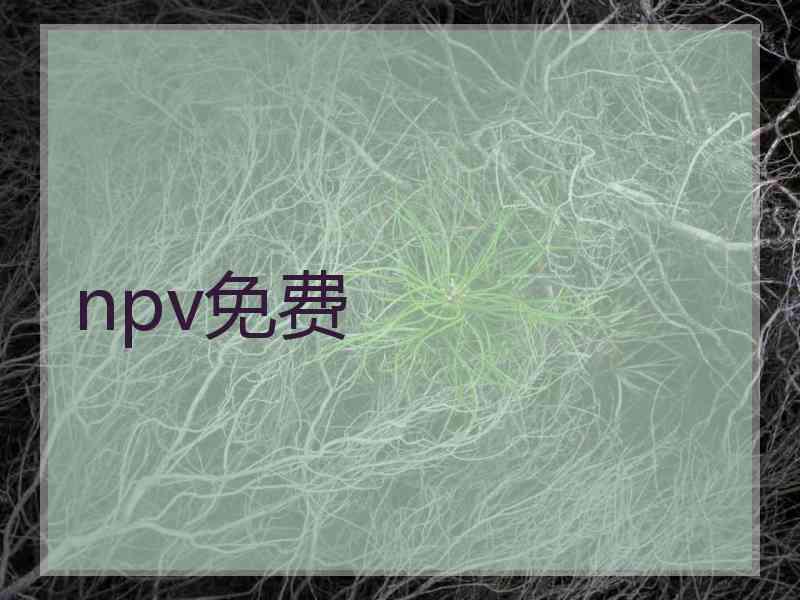 npv免费