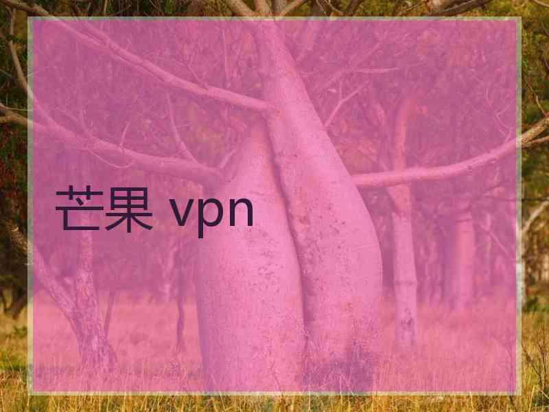 芒果 vpn