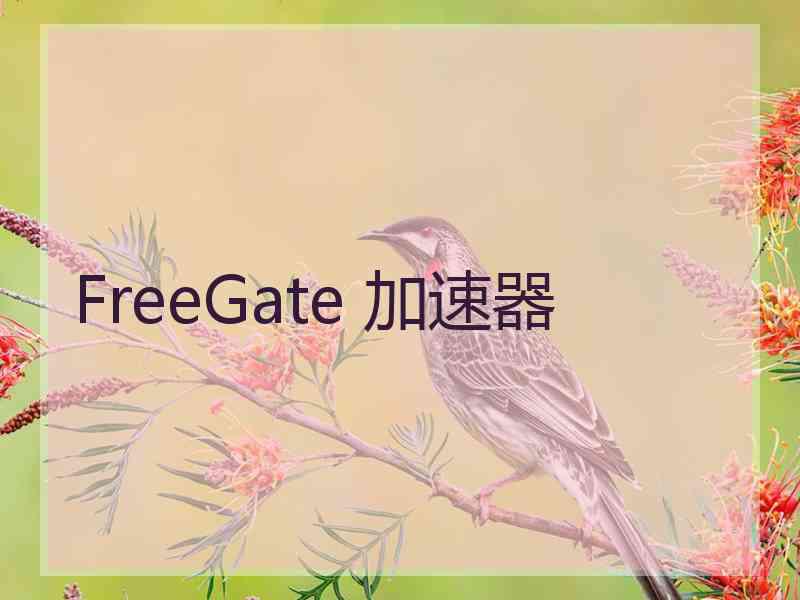 FreeGate 加速器