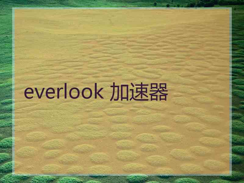 everlook 加速器