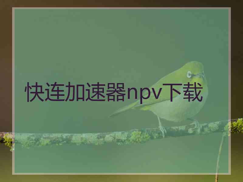 快连加速器npv下载