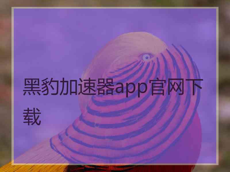 黑豹加速器app官网下载