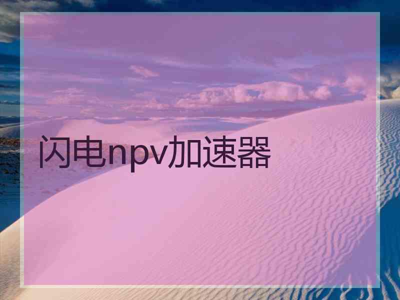 闪电npv加速器