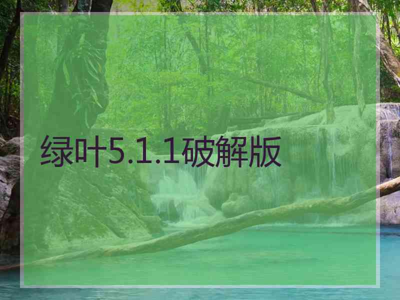 绿叶5.1.1破解版