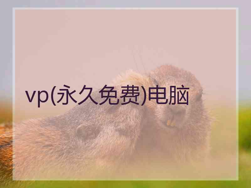 vp(永久免费)电脑