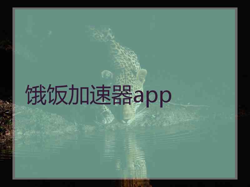 饿饭加速器app