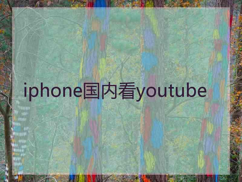 iphone国内看youtube