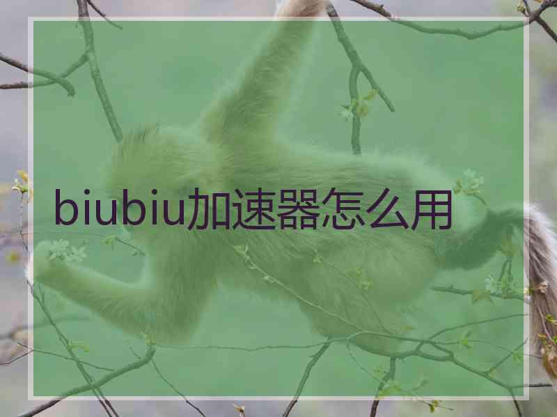 biubiu加速器怎么用