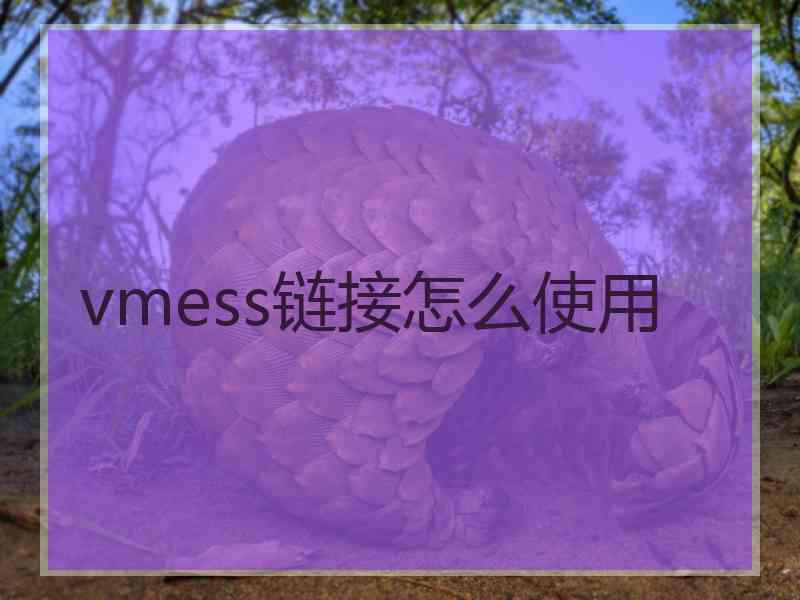 vmess链接怎么使用