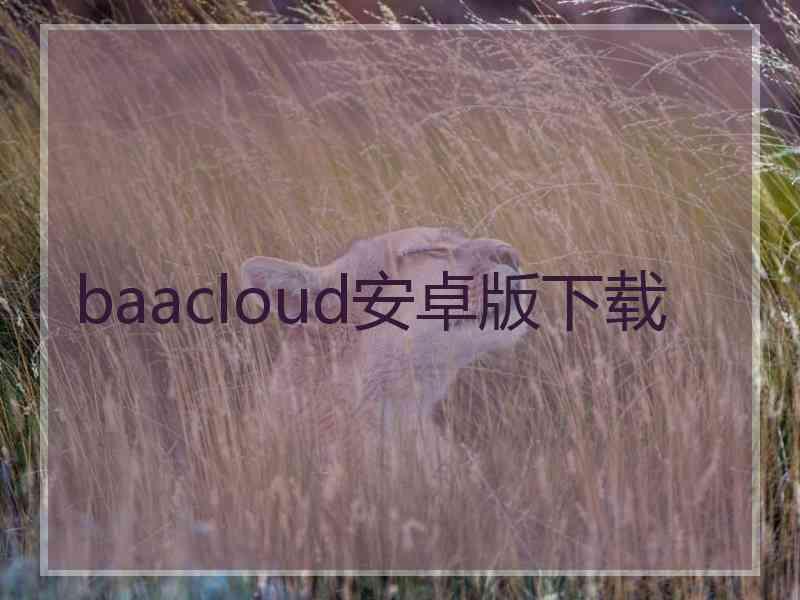 baacloud安卓版下载