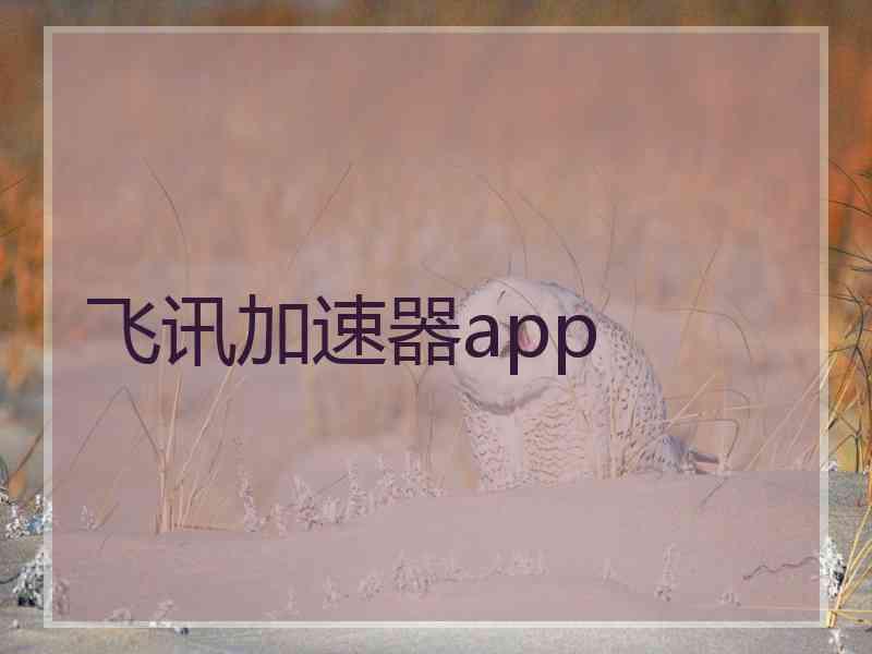 飞讯加速器app