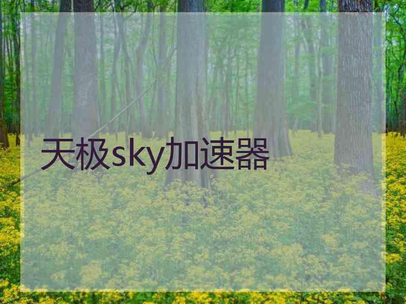 天极sky加速器