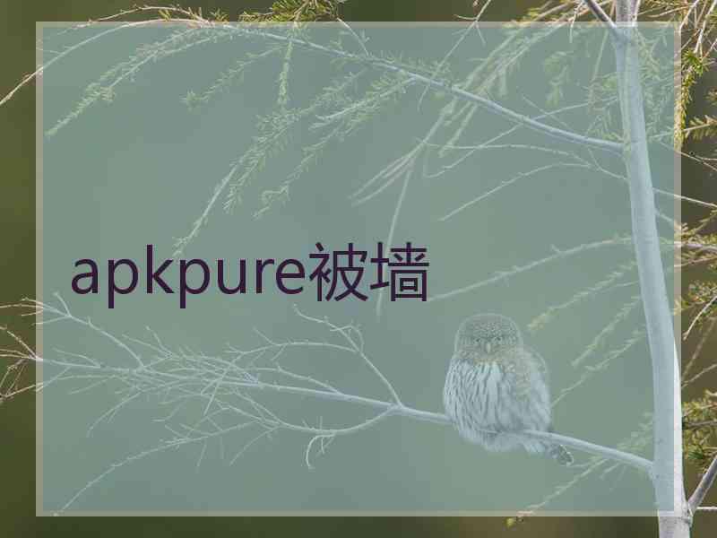 apkpure被墙