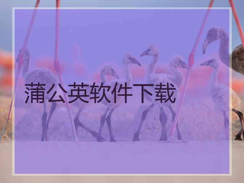 蒲公英软件下载