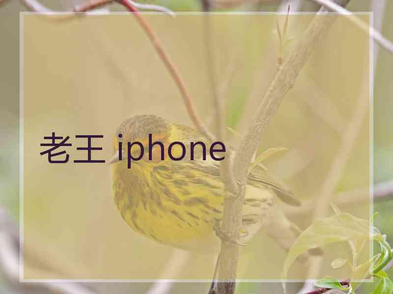 老王 iphone