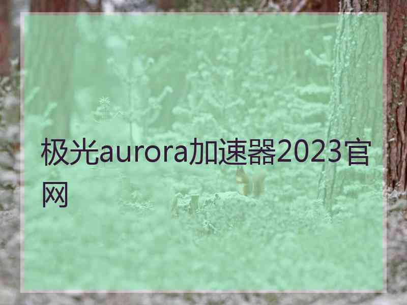 极光aurora加速器2023官网