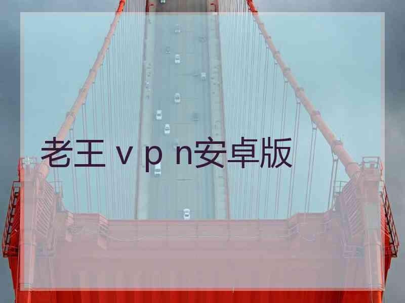 老王 v p n安卓版