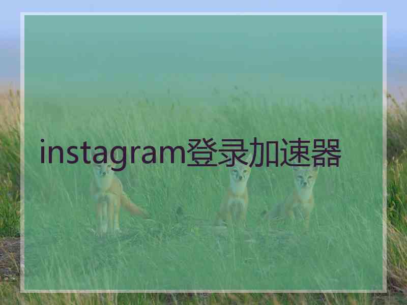 instagram登录加速器